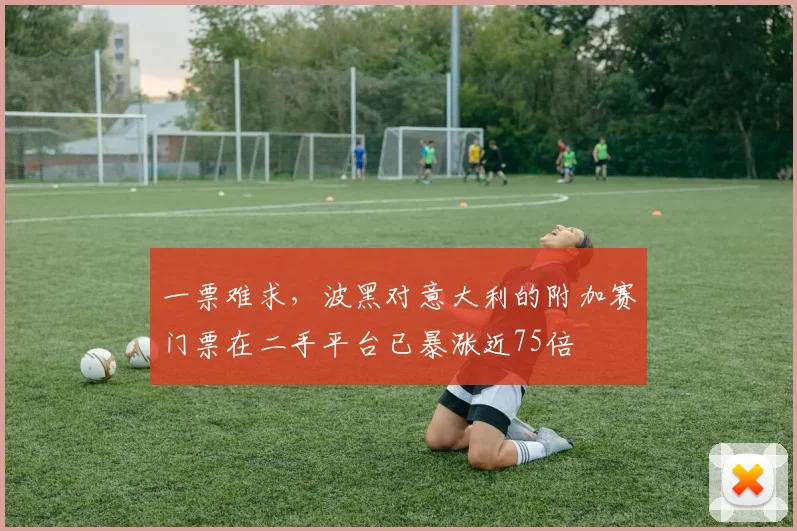 一票难求，波黑对意大利的附加赛门票在二手平台已暴涨近75倍