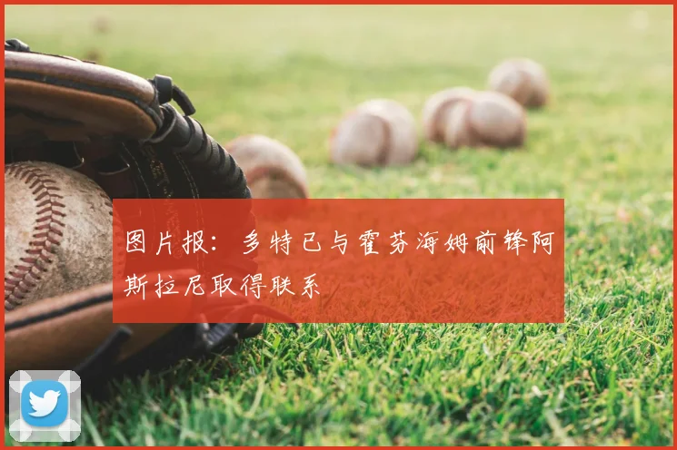 图片报：多特已与霍芬海姆前锋阿斯拉尼取得联系