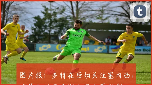 图片报：多特在密切关注塞内西，球员与伯恩茅斯合同今夏到期