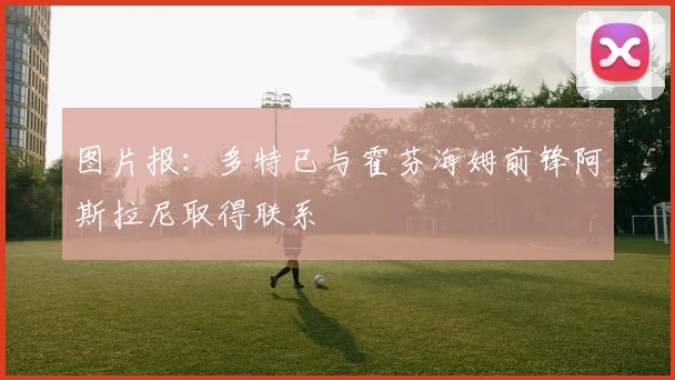 图片报：多特已与霍芬海姆前锋阿斯拉尼取得联系